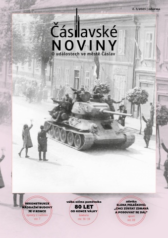 Náhledový obrázek
