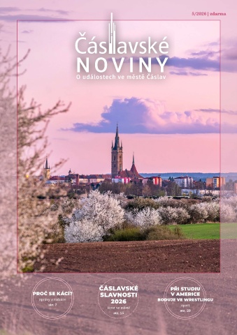 Náhledový obrázek