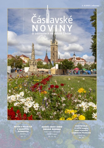 Náhledový obrázek