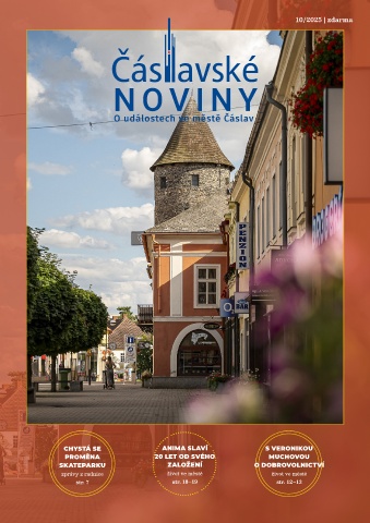 Náhledový obrázek