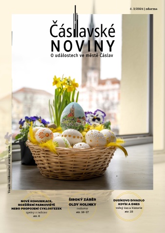 Náhledový obrázek