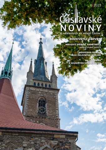 Náhledový obrázek