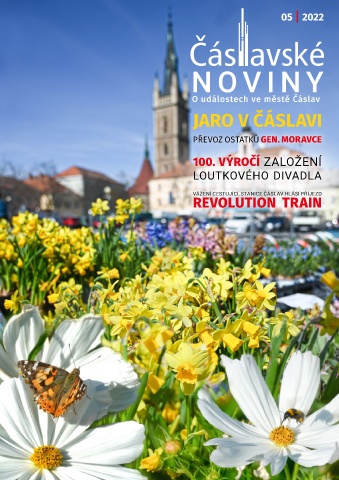 Náhledový obrázek