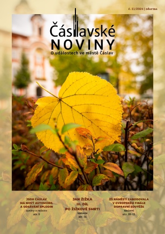 Náhledový obrázek