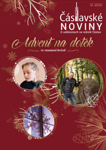 Náhledový obrázek