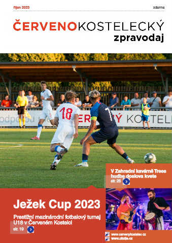 Náhledový obrázek