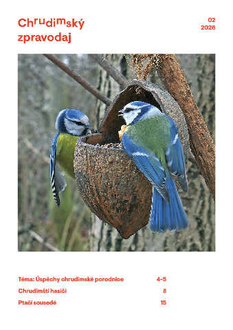 Náhledový obrázek