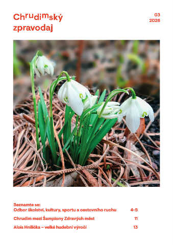 Náhledový obrázek