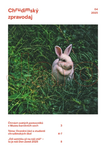 Náhledový obrázek