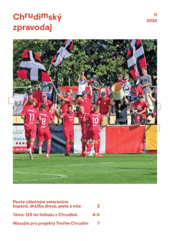 Náhledový obrázek