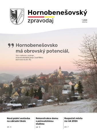 Náhledový obrázek