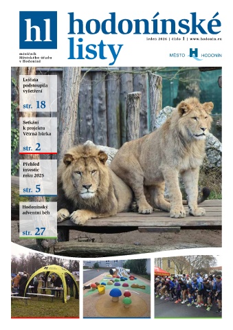 Náhledový obrázek