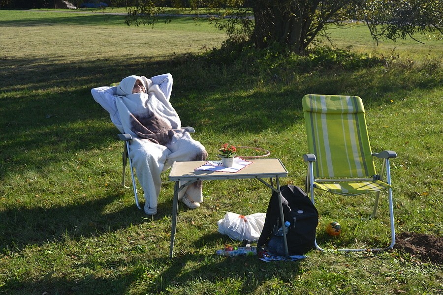 Pohádkový les 2019