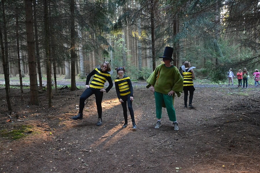 Pohádkový les 2019