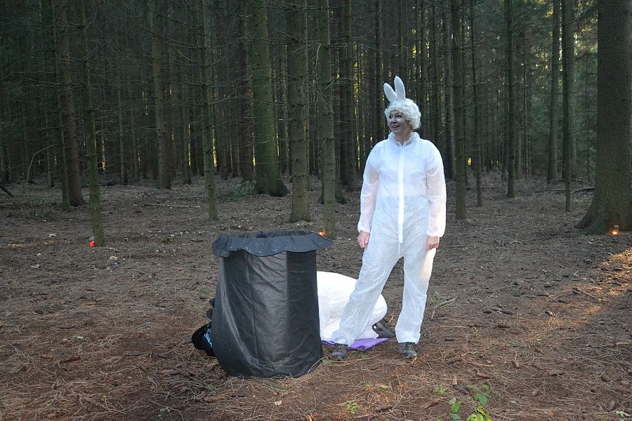 Pohádkový les 2019