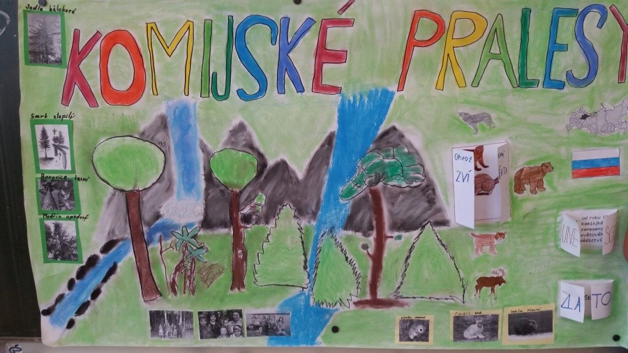 Multikulturní projekt