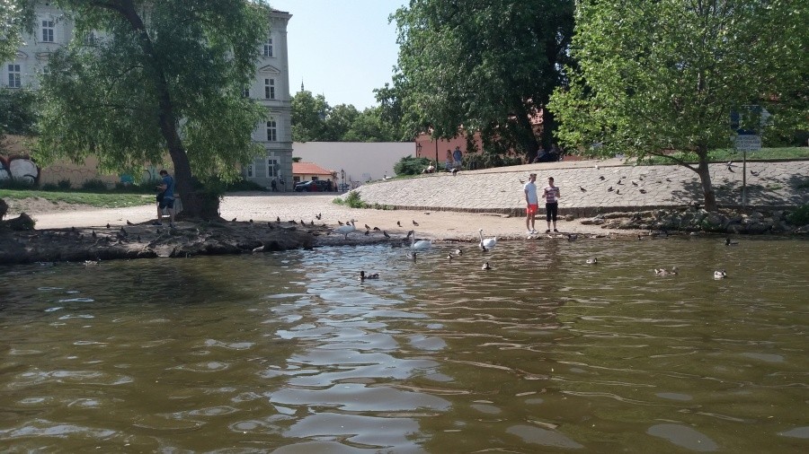 Výlet do Prahy