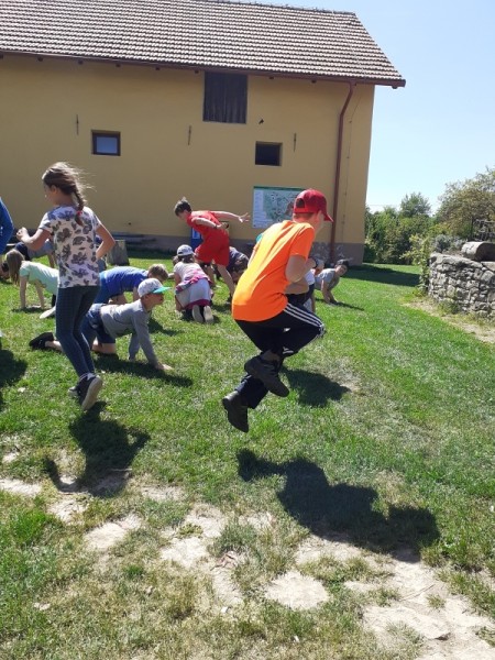 Paleta 2022