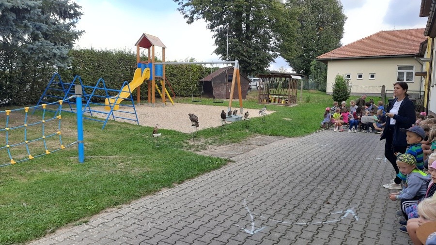 Dravci - říjen 2023
