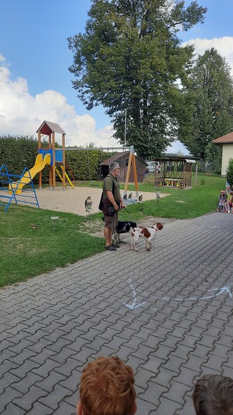 Dravci - říjen 2023