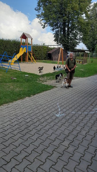 Dravci - říjen 2023