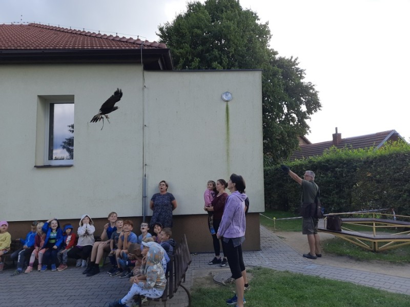 Dravci - říjen 2023
