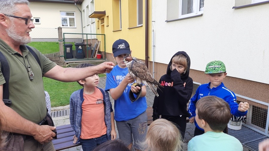 Dravci - říjen 2023