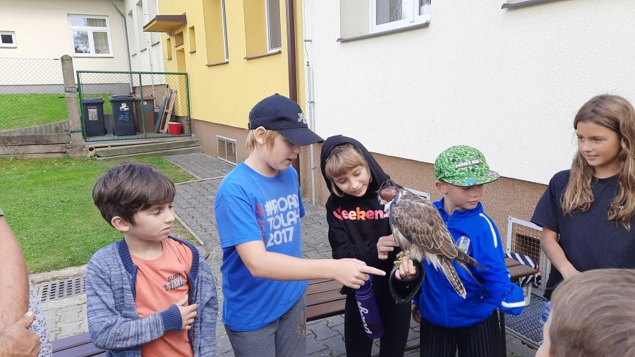 Dravci - říjen 2023