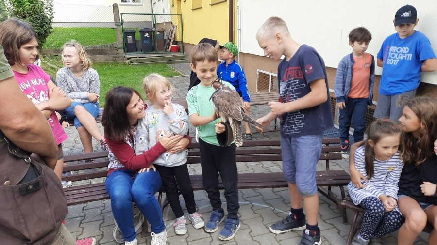 Dravci - říjen 2023