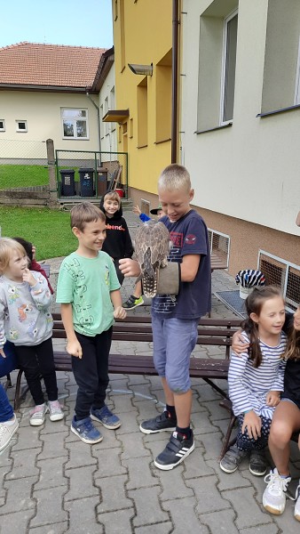 Dravci - říjen 2023