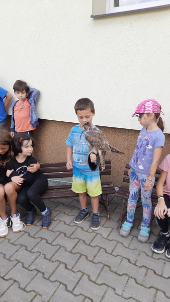 Dravci - říjen 2023