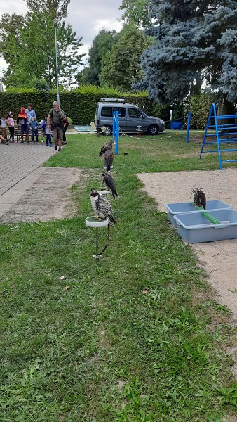Dravci - říjen 2023