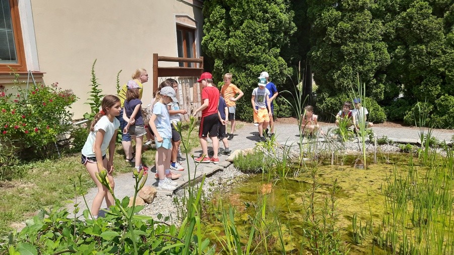 Školní výlet - červen 2023