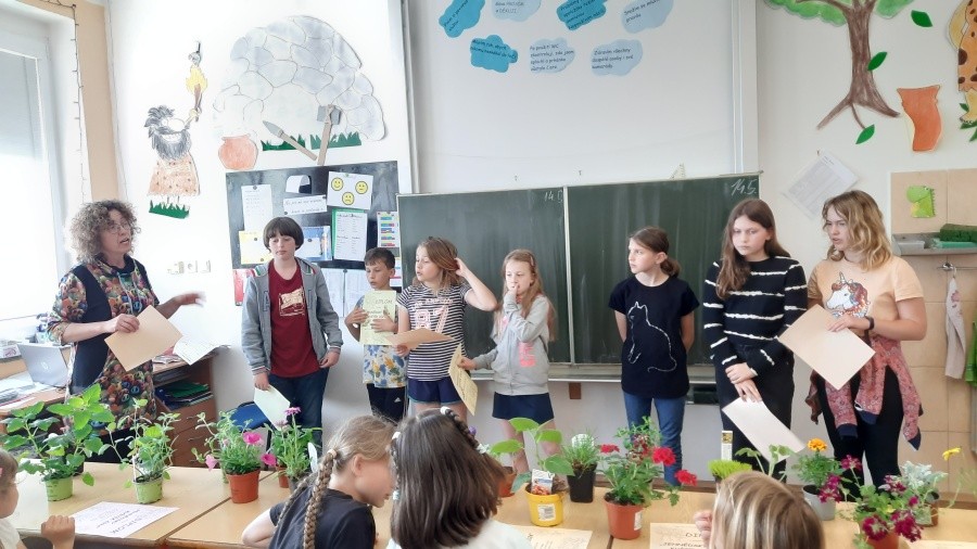 Jehnědský kvítek