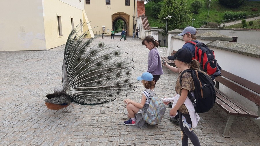 Celoškolní čtenářská soutěž Lovci mamutů