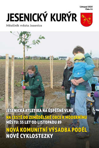 Náhledový obrázek