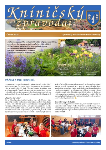 Náhledový obrázek