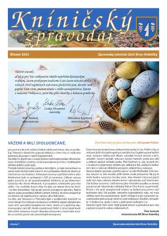 Náhledový obrázek