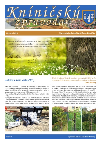 Náhledový obrázek