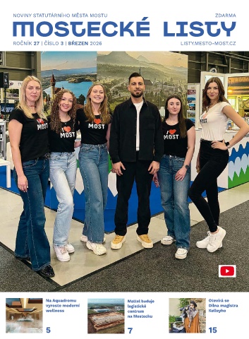 Náhledový obrázek