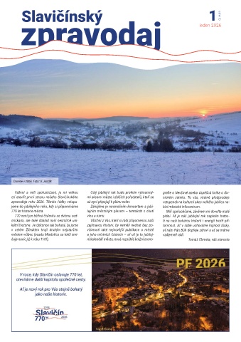 Náhledový obrázek