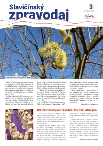 Náhledový obrázek