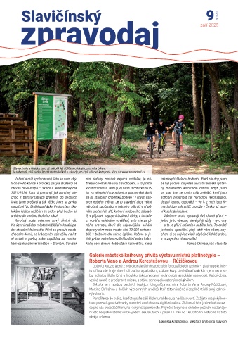 Náhledový obrázek