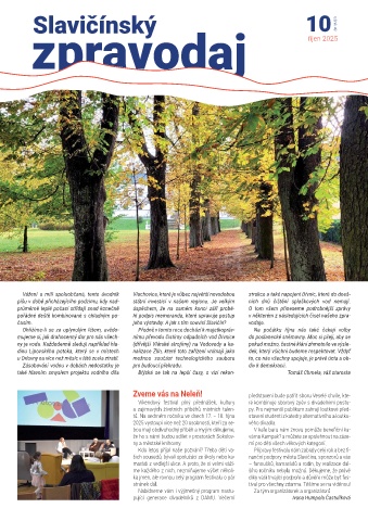 Náhledový obrázek