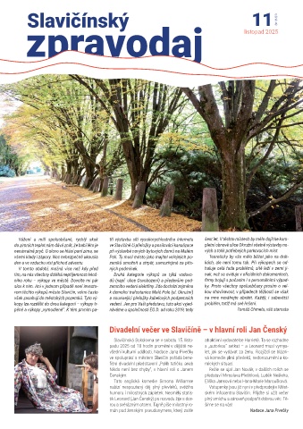 Náhledový obrázek