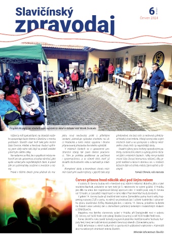 Náhledový obrázek