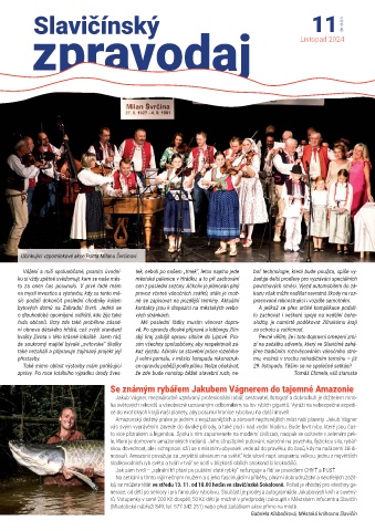 Náhledový obrázek