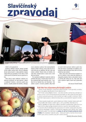 Náhledový obrázek