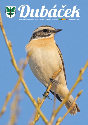 bulletin.preview_image