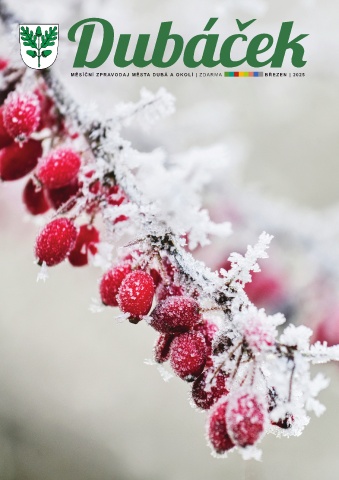 bulletin.preview_image
